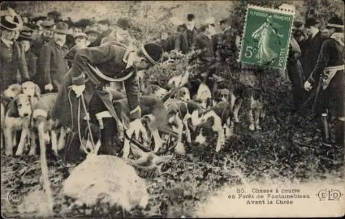 Ak Fontainebleau Seine et Marne, Foret, Hunting, Before the Curee