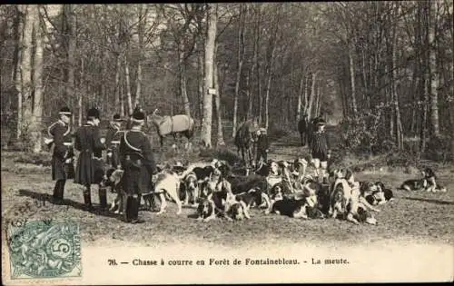 Ak Wald von Fontainebleau Seine et Marne, Jagd, das Rudel