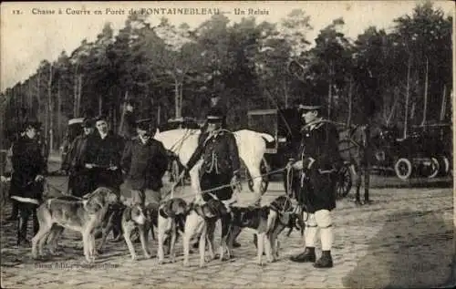 Ak Fontainebleau Seine et Marne, Jagd, Staffellauf, Hunde