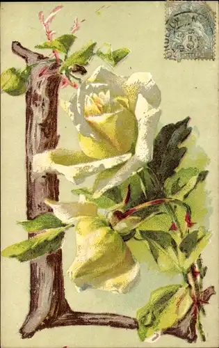 Buchstaben Ak Buchstabe L, Rosen