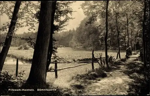 Ak Pritzwalk in der Prignitz, Hainholz, Dömnitzpartie