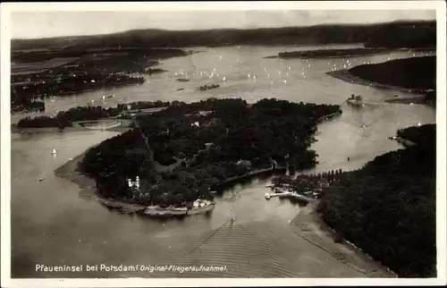 Ak Berlin Zehlendorf Wannsee, Pfaueninsel, Fliegeraufnahme