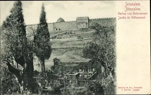 Ak Jerusalem Israel, Garten von Gethsemane