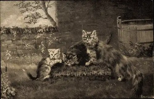 Künstler Ak Drei Katzen im Garten