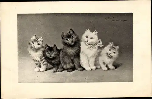 Litho Fünf junge Katzen, Schleife