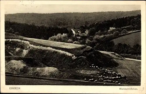 Ak Einbeck in Niedersachsen, Waldschlößchen