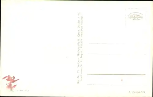 Ak Zinnwald Georgenfeld Altenberg im Erzgebirge, Panorama