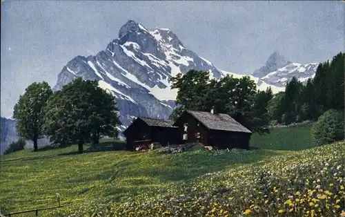 Ak Braunwald Kanton Glarus, Sommertage, Hütte, Berge