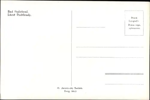 Ak Lázně Poděbrady Bad Podiebrad Region Mittelböhmen, Park-Hotel Tlapak