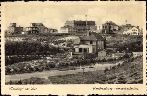 Ak Noordwijk aan Zee Südholland, Rembrandtweg - dennenbeplanting