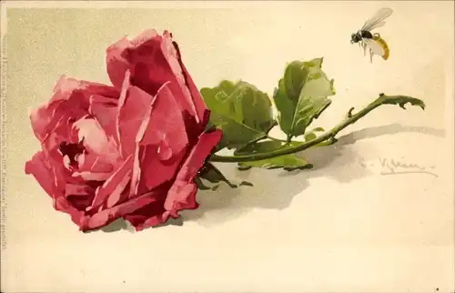 Künstler Litho Klein, Catharina, rote Rose, Biene, Meissner & Buch 1209