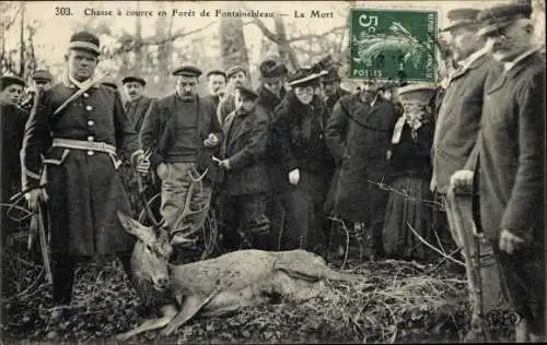 Ak Fontainebleau Seine et Marne, Jagd, Tod, Hirsch
