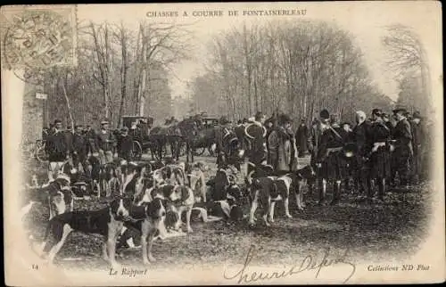 Ak Fontainebleau Seine et Marne, Jagd, Hunde, Der Bericht