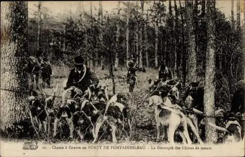 Ak Fontainebleau Seine et Marne, Jagd, Die Entkopplung der Packhunde