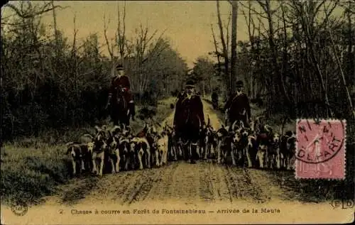 Ak Fontainebleau Seine et Marne, Jagd, Ankunft des Rudels, Hunde
