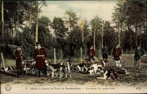 Ak Foret de Fontainebleau Seine et Marne, Jagd, La Meute au Rendez vous, Hunde