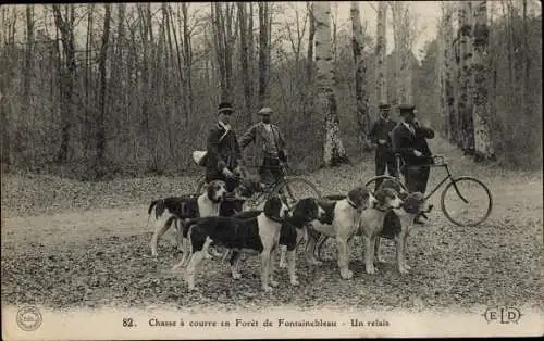 Ak Foret de Fontainebleau Seine et Marne, Jagd, Ein Staffellauf, Hunde