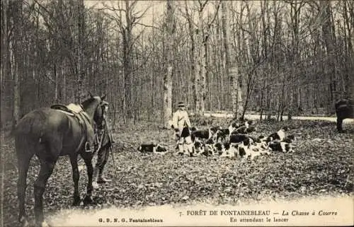 Ak Foret de Fontainebleau Seine et Marne, Jagd, Warten auf den Stapellauf