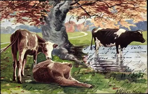 Künstler Litho Müller, H., Kühe am Wasser, Landwirtschaft, Teich