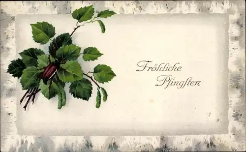 Ak Glückwunsch Pfingsten, Maikäfer, Laubblätter