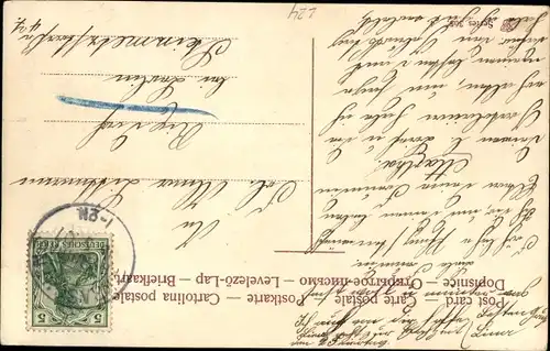 Ak Maikäfer, Laubblätter, Laubbaum