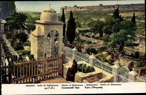 Ak Jerusalem Israel, Blick in den Garten Gethsemane