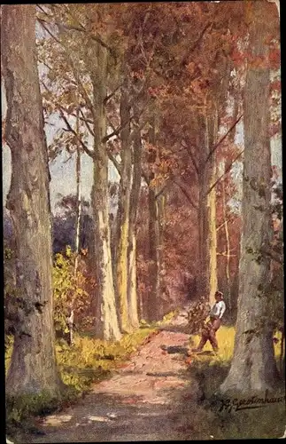 Künstler Ak Gerstenhauer, Johann Georg, Niederländisches Motiv, Waldweg im Herbst