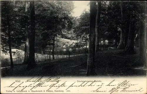 Ak Kiel, Düsternbrooker Gehölz