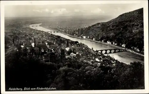 Ak Heidelberg am Neckar, Blick vom Rindenhäuschen, Panorama, Brücken