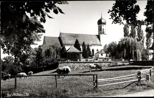 Foto Ak Bad Heilbrunn in Oberbayern, Rinder, Kirche