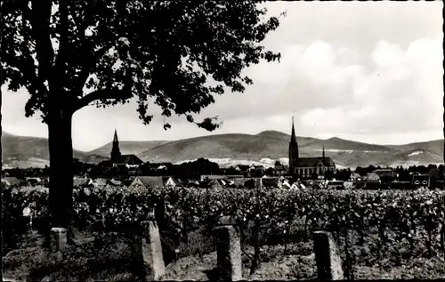 Ak Edenkoben an der Haardt Pfalz, Gesamtansicht