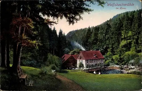 Ak Braunlage im Oberharz, Wolfsbachmühle