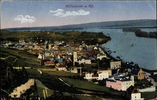 Ak Rüdesheim am Rhein, Panorama