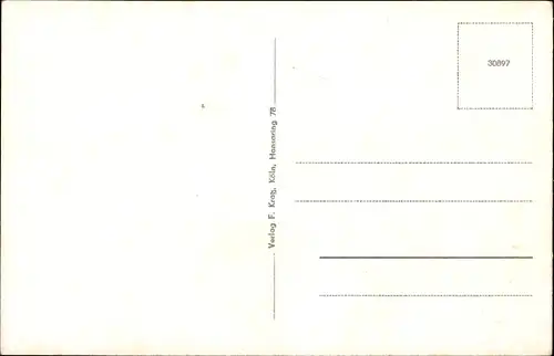 Ak Aulhausen Rüdesheim am Rhein, Totalansicht