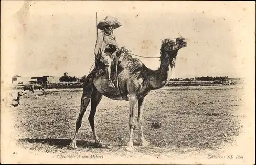 Ak Araber auf Kamel reitend, Maghreb, Wüste