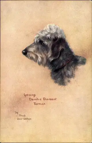 Künstler Ak West Watson, Maud, Young Dandie Dinmont Terrier, Sketches of Doggies