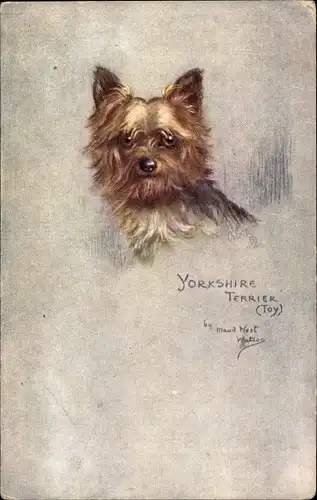 Künstler Ak West Watson, Maud, Toy Yorkshire Terrier, Sketches of Doggies
