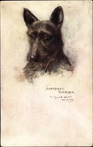 Künstler Ak West Watson, Maud, Bindled Aberdeen Terrier, Sketches of Doggies