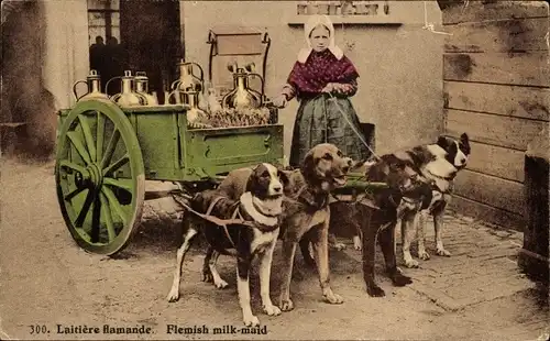 Ak Flämische Milchfrau mit Hundekarren