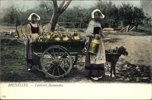Ak Flämische Milchfrauen mit Hundekarren