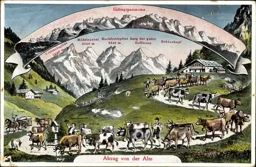 Ak Abzug von der Alm, Gebirgspanorama, Alpen, Seppl, Nero, Bräunl, Oberschweizer, Scheck, Gams