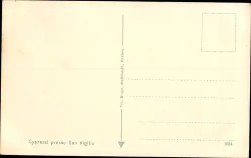 Ak San Vigilio Veneto, cypressi, Weg von Zypressen gesäumt