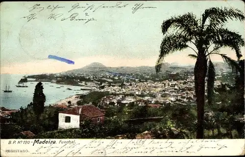 Ak Funchal Insel Madeira Portugal, Panorama, Umgebung, Palme, Bucht, Schiffe