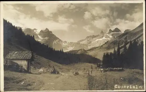 Ak Gauertal Vorarlberg, Gesamtansicht