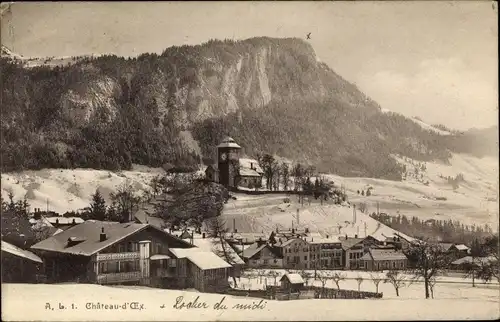 Ak Château d'Œx Oex Kanton Waadt, Gesamtansicht, Winter