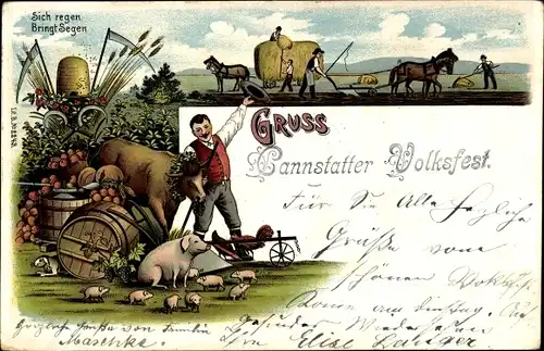 Litho Bad Cannstatt Stuttgart in Württemberg, Cannstatter Volksfest, Schweine, Rind, Pferdepflug