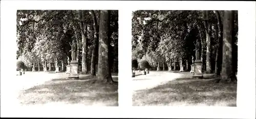 Stereo Raumbild Foto Berlin Potsdam Nr. 27, Potsdam Sanssouci, Park