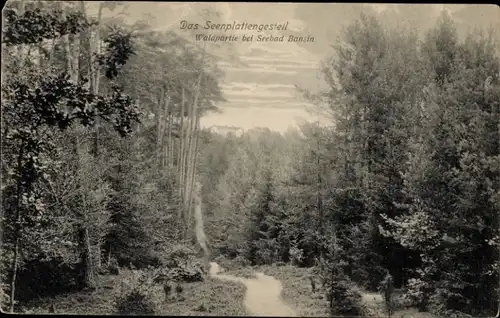 Ak Ostseebad Bansin Heringsdorf auf Usedom, Seenplattengestell, Wald