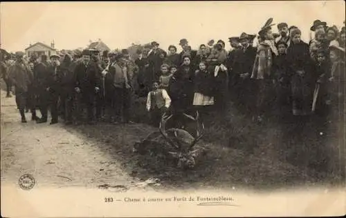 Ak Foret de Fontainebleau Seine et Marne, Jagd, erlegter Hirsch