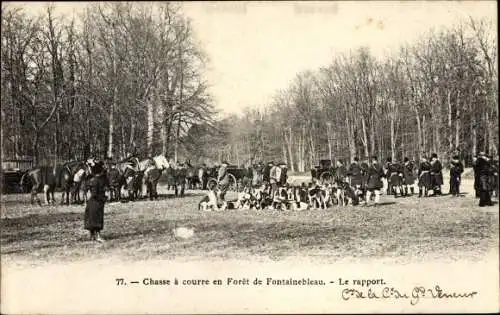 Ak Foret de Fontainebleau Seine et Marne, Jagd, der Bericht, Die Hunde